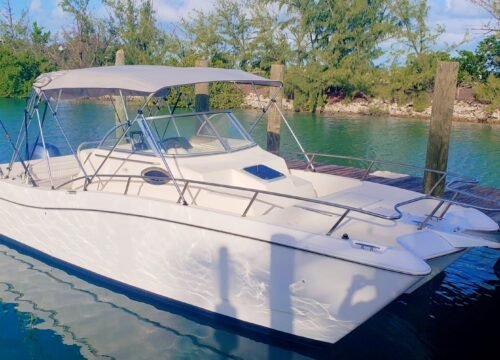 Private Snorkeling Tour Turks and Caicos