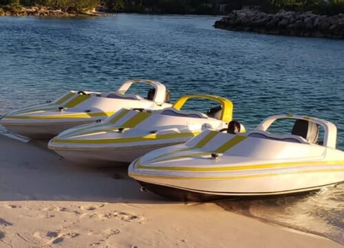 Iguana Island Tour Turks and Caicos