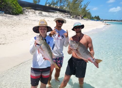 Turks and Caicos Excursions